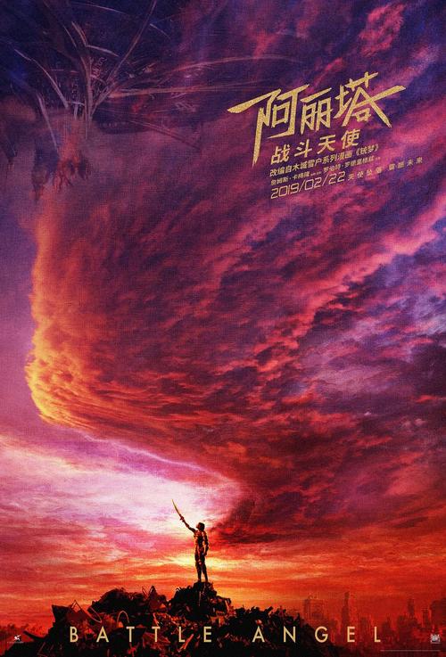 买个丹麦驾照